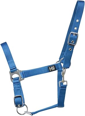 Hy Economy Plus Halter (Pony) (Kingfisher)