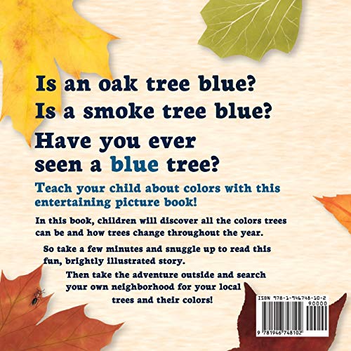 Can a Tree Be Blue? (Early Nature Questions) - Image 2