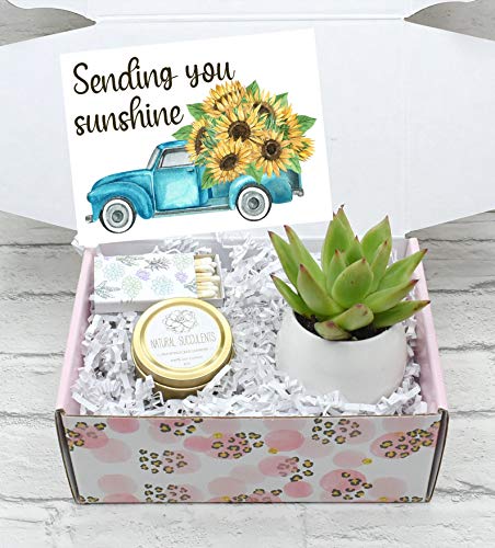 Sending You Sunshine Gift Box - Care Package for Her - Box of Sunshine - Succulent Gift Box, Just Because Gift Box, Cheer Up Gift Box (XFM9)