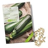 BIO Zucchini Samen (Nero di Milano, 5 Korn) -...