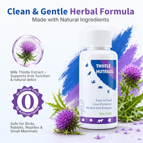 Milk Thistle for Birds, Tortoises & Rabbits – Natural Liver Support Supplement, Supports Detox & Healthy Liver Function - Image 3