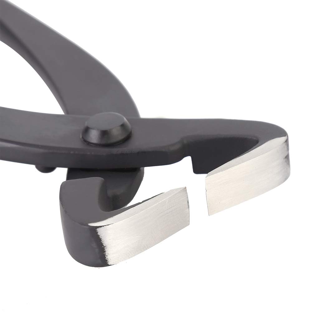 Tnfeeon Tijera para Bonsái, Divisor de Troncos de Acero de Calidad, Filo Afilado, Ergonómico, 210 Mm para Entusiastas del Bonsái