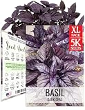 Seed Needs Dark Opal Basil Seeds to Plant Non-GMO & Heirloom Herbs XL Pack