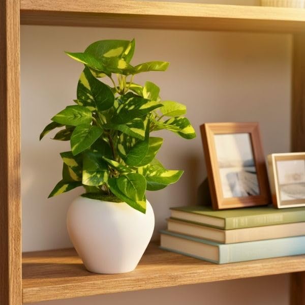 Image of fancymart Artificial Plant Leaves in Apple Pot (30 cm Height) | Small Potted Plant for Office Desk | Home Decor for Living Room | Cafe & Restaurant Table Decoration