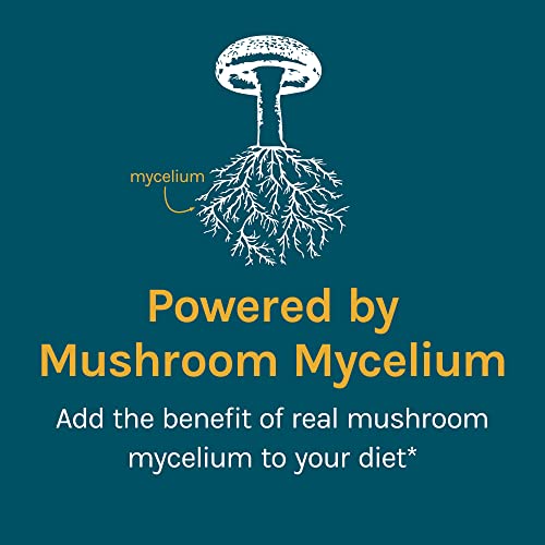 Host Defense, Cordychi Capsules, Support Stress And Fatigue Reduction, Mushroom Mycelium Supplement With Cordyceps And Reishi, Unflavored, 120 Count (Pack Of 1) #TOP4