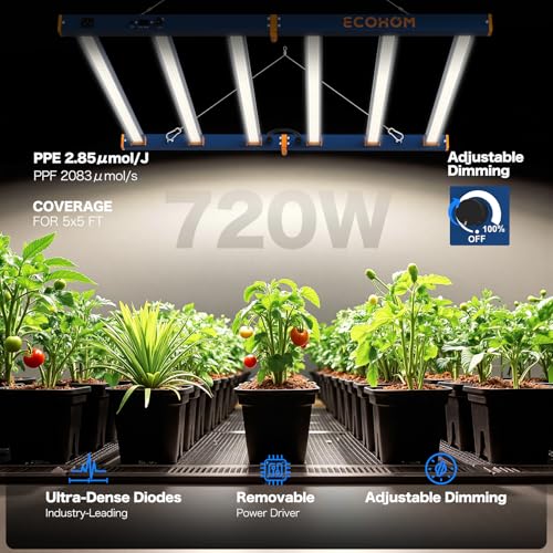 ECOHOM 720W LED Grow Light