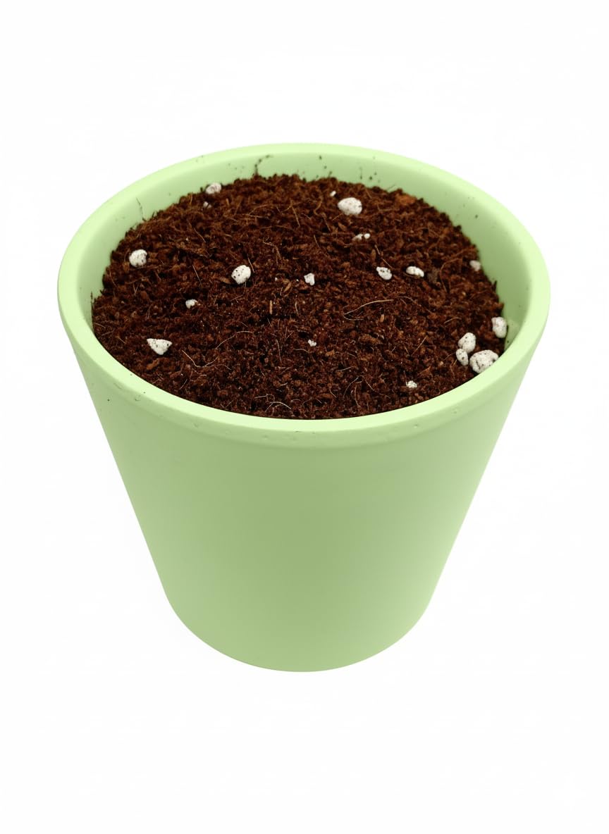 Garden Center Shop | Sustrato Universal 70 L | Mezcla Premium para Jardinería | Aireado, Nutritivo y Versátil | Ideal Plantas, Macetas y Céspedes