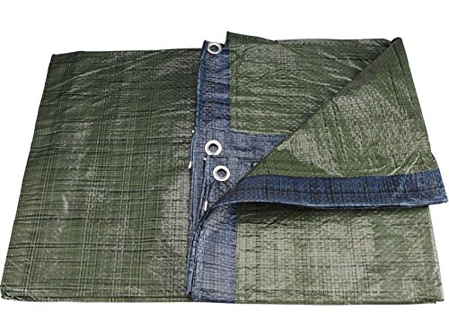 EXTOL CRAFT Tarpaulin 3 x 4 m, 55 g/m²