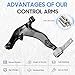 Front Lower Control Arms w/Ball Joints-Driver & Passenger Side Replacement Suspension Kits for 2003-2007 Nissan Murano K620558 K620559 (2PCs)