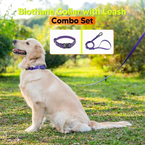Image of Adil's Biothane Waterproof Dog Collar, Dog Leash & Collar Leash Combo | Heavy Duty TPU Coated Webbing | Adjustable Quick Release Buckle | Odour Resistant (Purple, M-18, Collar & Leash Combo)