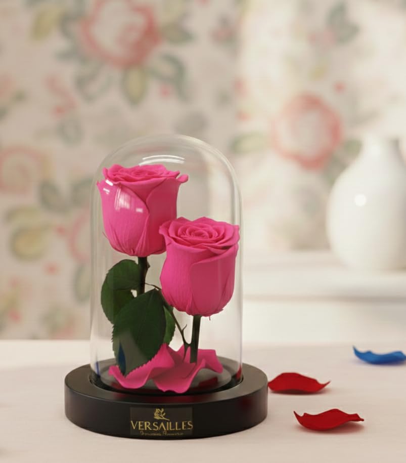 Versailles Preserved Double Pink Roses in Glass Dome | Black Wooden Base | Long Lasting Infinity Rose Anniversary, Birthday or Valentine’s Day-image-48