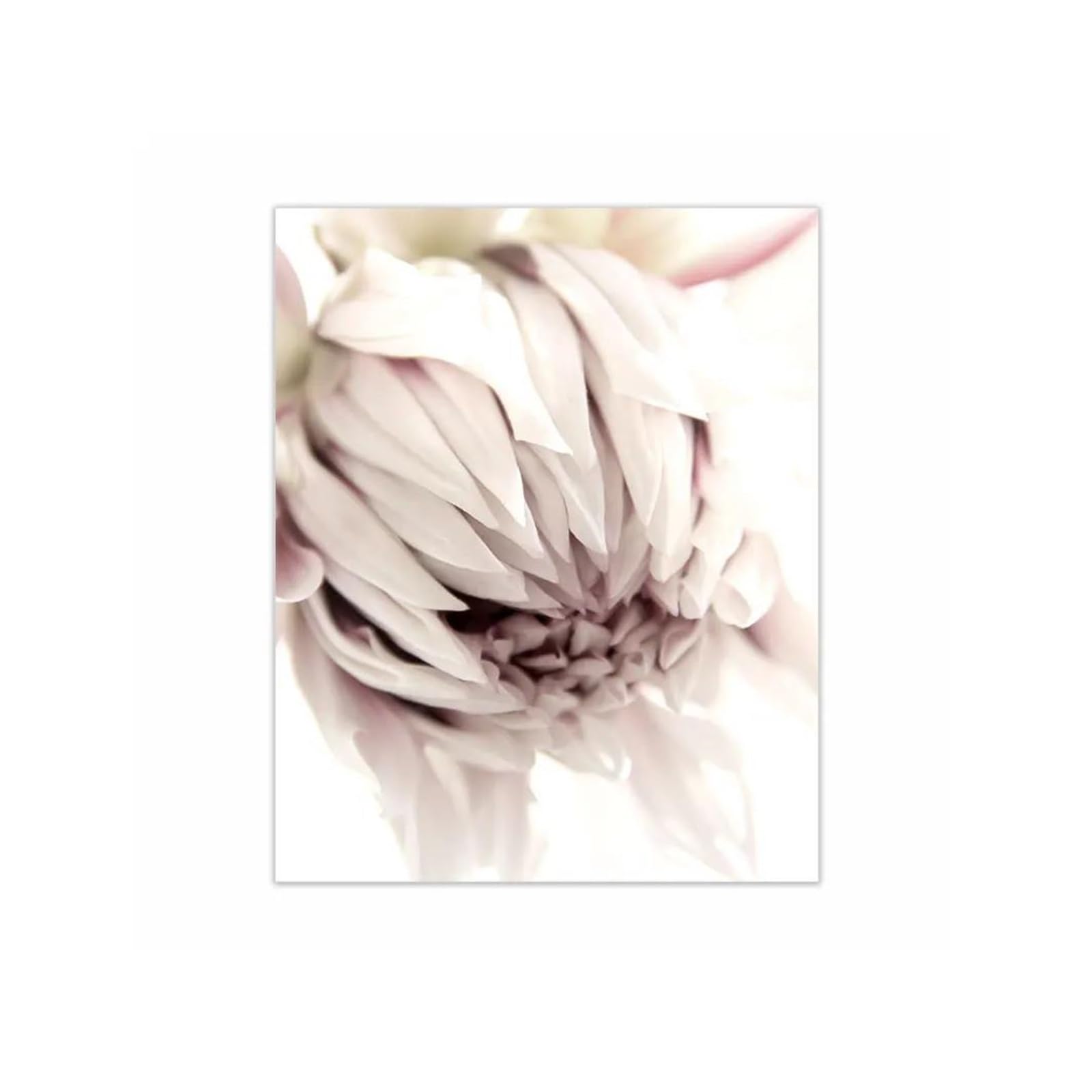 Toile fleurs fraîches tableau déco nature pour une ambiance sereine et poétique