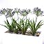 Leaf Design UK - Albero artificiale realistico, fiore di | FindTheDeal