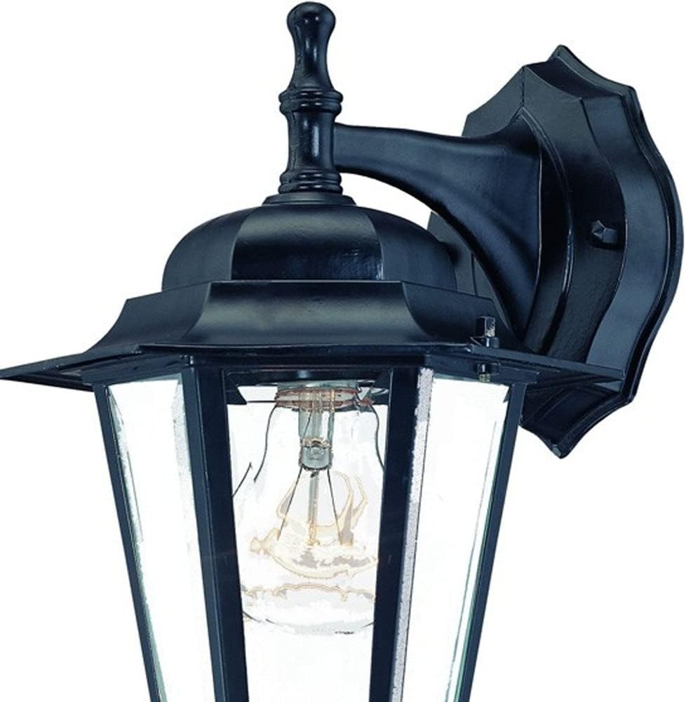 HomeRoots Matte Black Glass Hanging Lantern Wall Light