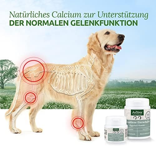 AniForte Egg Shell Powder 100g Calcium for Dogs & Cats - Natural Calcium Source, Supports Bones & Teeth, Egg Shell Powder for Barf, High Organic Availability, Laboratory Tested