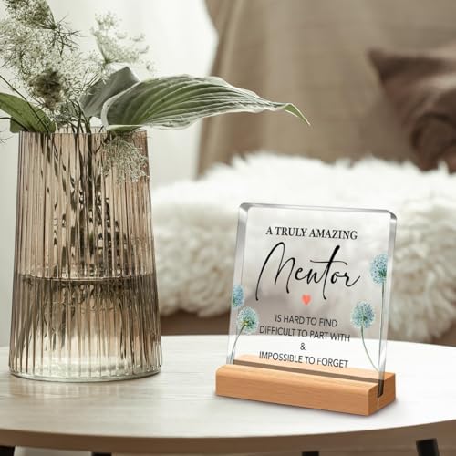 Bs amor Inspirational Gift Ideas - Thank You Gifts for Women Men Friends - Mentors Appreciation Gifts for Coworker - Motivational Quote Clear Desk Sign Decor Home Office Desk Decor (5 x 4 Inches) 2 51DaeerTFmL