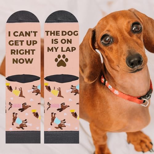 Lustige Socken für Frauen Mama Teenager Mädchen Oma Freundin Sie–'I Can't Get Up Right Now The Dog Is On My Lap-Niedliche Verrückt Flippig Niedlich Valentinstag Muttertag Weihnachtsstrumpf Geschenke