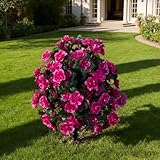 HSTEY Artificial Silk Flowers Azalea for Outdoor with Ground Spike, Spring Summer 23' Faux Floral Topiaries Ball Bushes Shrubs for Home Garden Yard Patio Decor UV Resistant (Purple)