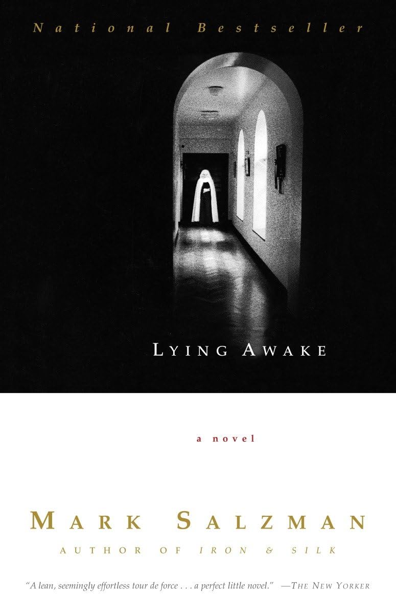 Cover of Lying Awake