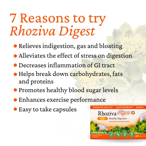 Rhoziva Digest. Gut Health Supplement with Digestive Enzymes for Women and Men. Supports Healthy Digestion, Reflux, Bloating. 60 Capsules. - Image 6