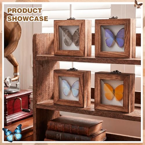 Image of Reallnaive 4 Pcs Insect Pinning Kit 4 inch Wooden Display Case Box, EVA Foam Insect Pinning Board, 100 Bug Pins for Butterfly Specimen Bugs Collection Tools (Carbonized Wood Color)