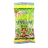 沖縄パイオニアフーズ ワサビッツ 縦長袋 40g×12個