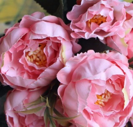 牡丹様　3L 5kg 牡丹様3L 5kg