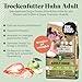 The GOODSTUFF Huhn (Adult) 12,5 kg | Hochwertiges Hundetrockenfutter getreidefrei | Mit frischem Hühnerfleisch | Hundefutter trocken für ausgewachsene Hunde | Super-Premium Trockenfutter für Hunde