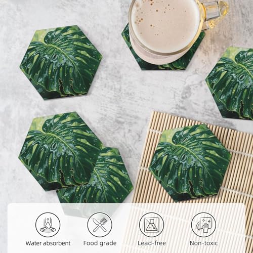 Dessous de verre céramique absorbante avec support liège table boisson - 6