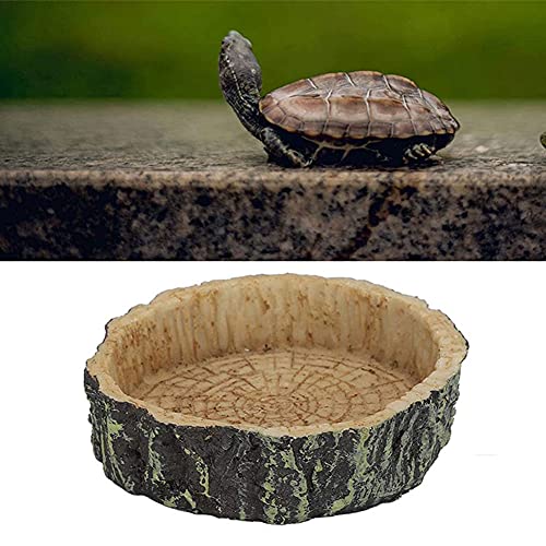 Reptielgerechten, 2 stuks voederbakjes reptielen, reptielen feeder, hagedissen-feeder, voedsel bowl rok, voederplaat… - Afbeelding 8