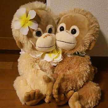 COCCO 大きなピンクのぬいぐるみと小ぬいぐるみセット