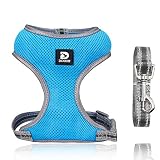 Dociote Harnais Petit Chien Réfléchissant, Harnais et Laisse pour Chien Ultra-léger Harnais Chiot Respirant Gilet pour Petits Moyen Chiens avec Laisse pour Marcher, Courir Bleu Ciel S