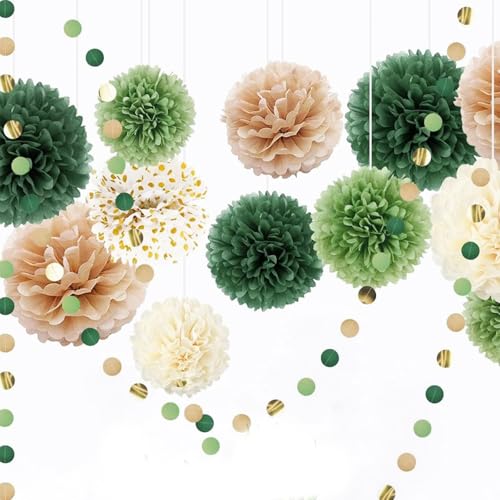 Feluxor Pompons Papier Lanterne Fächer Set de 15 Pièces Boule Fleur Papier Décoratifs Lanterne et Guirlande Circulaire pour Fête Prénuptiale, Prénatale,...