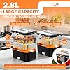 Electric Lunch Box for Adults, 2.8L Double Layer 100W Fast Heated Lunch Box, Heating Food Heater Warmer for Home Office Car Truck Use, Extra Large Lonchera Electrica Portátil 12/24V/110-230V, Black