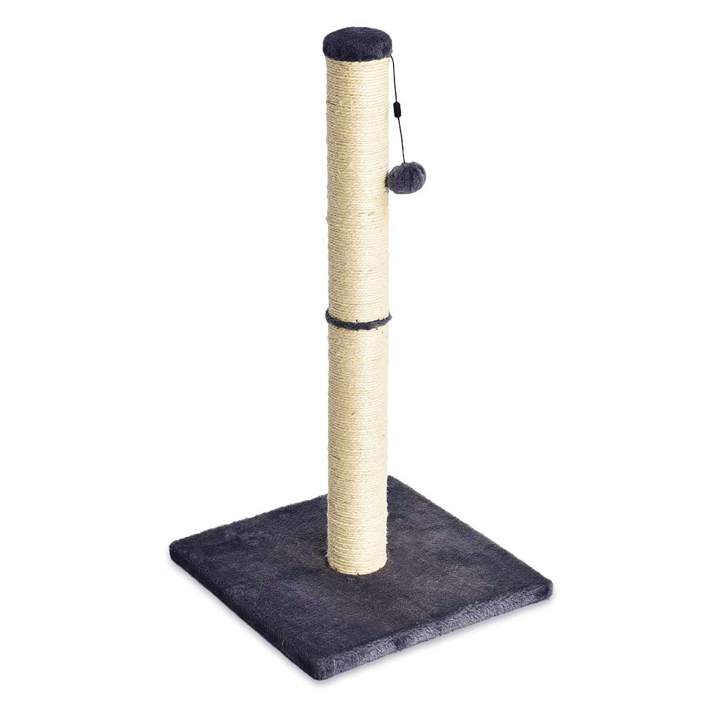 Amazon Basics Medium Cat Scratching Post, 40.01 x 40.01 x 80.01 cm, GreyAmazon Basics Medium Cat Scratching Post, 40.01 x 4…