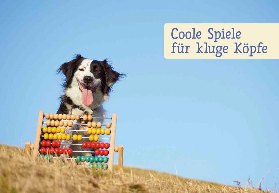 Spiele und Action für ausgeglichene Hütehunde: Border Collie, Australian Shepherd und Co. rassegerecht auslasten