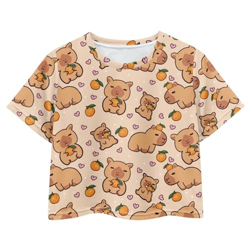 Image of Girls Crop Tees Crew Neck Casual Short Sleeve T Shirts Kids Loose Soft Comfortable Tees Blouses Shirt for Little Girl