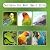 No Mess Bird Feeder for Cage, Automatic Acrylic Bird Feeder Seed Catcher Tray Cage with Stainless Steel Hooks for Small Parrots Canary Parakeet Budgerigar Crested Cockatiel Lovebird (Small)