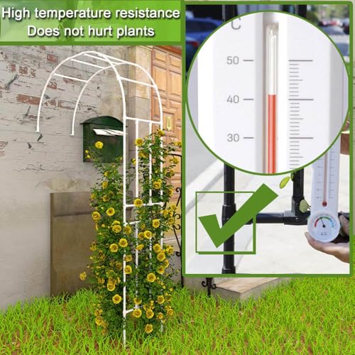 Arco de jardín de pared para aprovechar zonas estrechas y cultivar rosales trepadores 6