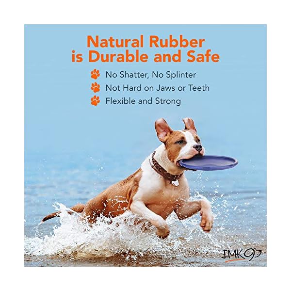 Heavy Duty Durable Frisby for Pets