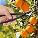 Oumefar 8, 1 Zoll Manganstahl Manueller AST Konkavschneider Garden Bonsai Cutter Tool Astschneider Scharfe Klinge Konkave Wurzelschneider mit runder Kante