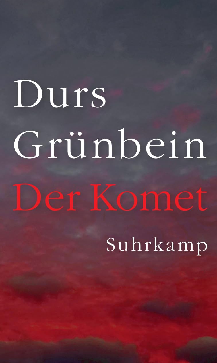 Der Komet: Der Lebensweg einer einfachen Frau bis zum Untergang Dresdens