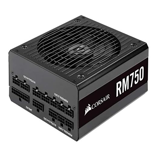 Corsair RM750, RM Series Alimentation PC (Entièrement Modulaire ATX, 80 Plus Gold, 750 Watt) - Noir (EU)