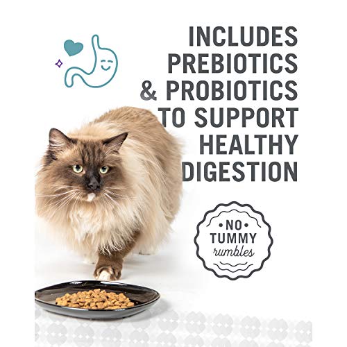 "I and love and you" Naked Essentials Dry Cat Food, Chicken and Duck Recipe, Grain Free, Real Meat, No Fillers, 3.4 lb Bag