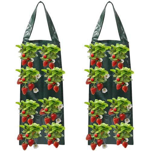 YRUHAN 2 Pezzi Sacchetto di Piantagione di Piante, Sacchi per Piante Fragole, Sacco per Piantare Fragole da Appendere, Materiale Durevole, Facile da Appendere, Adatto per Il Giardino di Casa