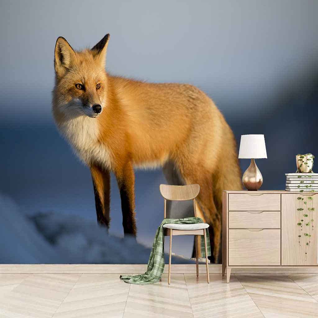 Papier peint renard auto-adhésif 350x256 cm pour décoration de chambre d'enfant