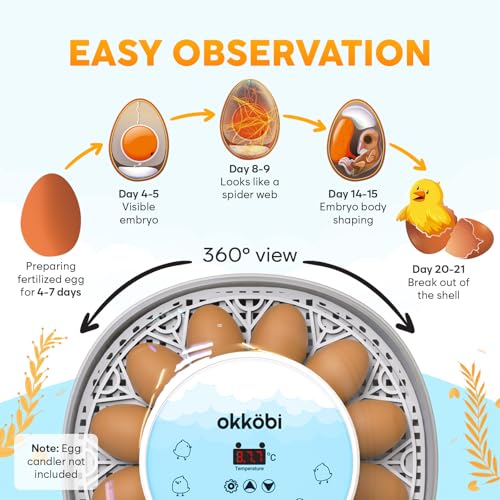 OKKÖBI M12 Egg Incubators for Hatching Eggs - 12/24 Eggs Incubator with Automatic Turner and Humidity Control - Incubadora de Huevos de Gallina - Easy to Use and Clean - 360° View - Blue - Image 3
