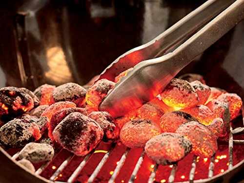 Weber Performer Premium Charcoal Grill, 22-Inch, Black #TOP7