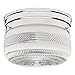 Design House 501999 2 Light Ceiling Light, Polished Chrome