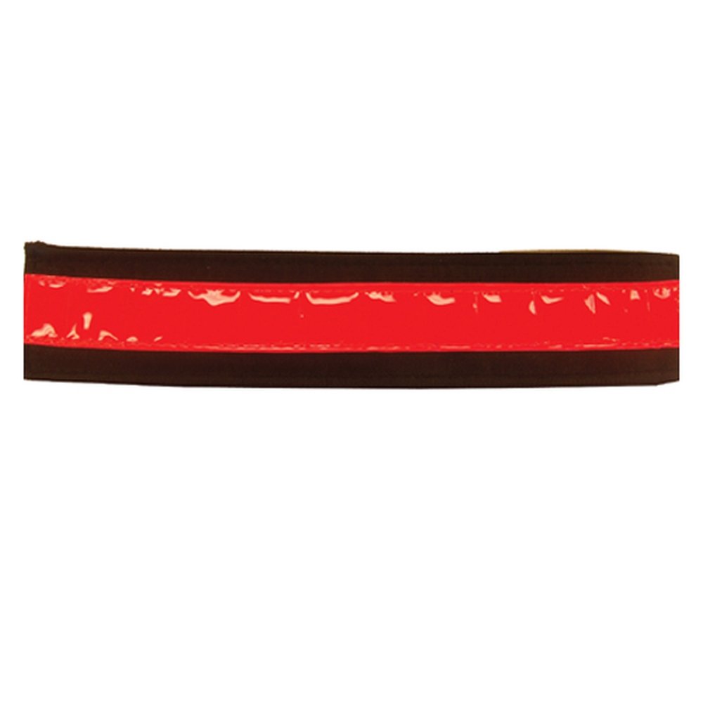 Intrepid International Reflective Bridle Straps, Red